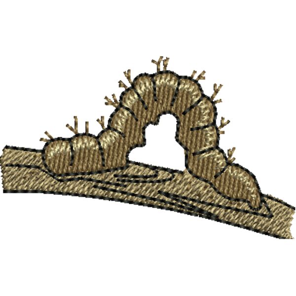 370556 Thumbnail