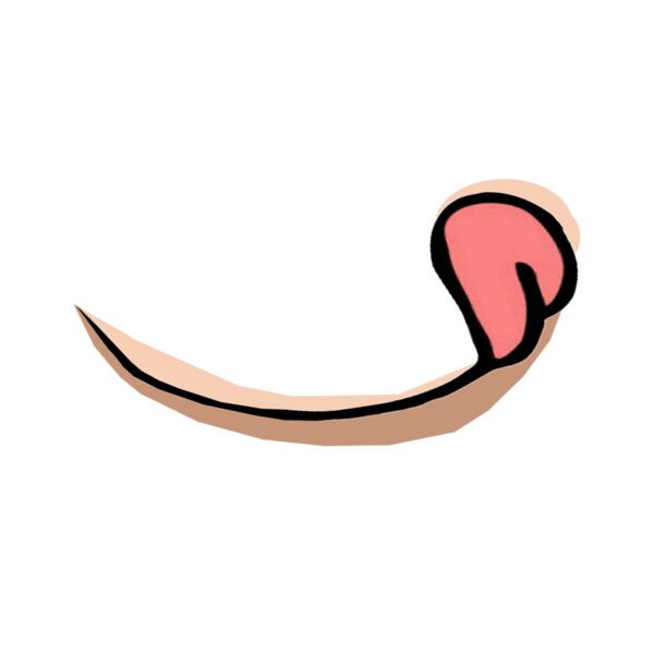 Lick Thumbnail