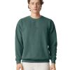 Crewneck Sweatshirt Thumbnail