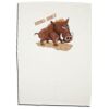 Boutique Linen Cotton Tea Towel (Best Seller) Thumbnail